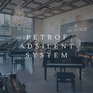 Petrof Piano Adsilent System 