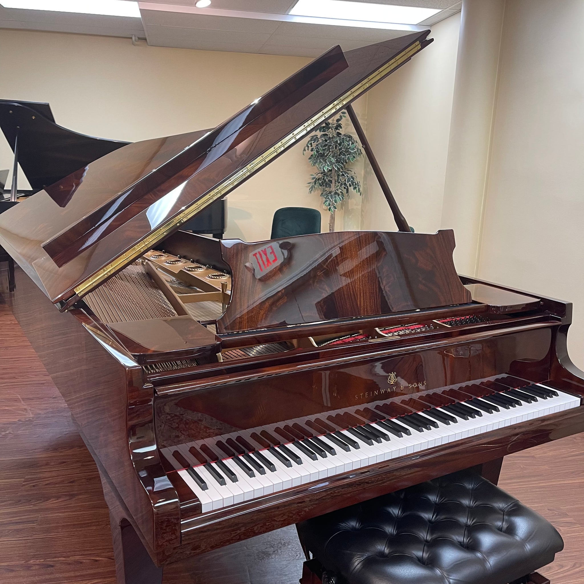 Steinway piano model d hotsell