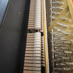 Kawai CX-21D (48'')