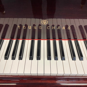 Young Chang G-157  (5'2")