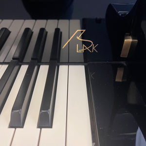 Kawai RX-2 BLAK (5'10")