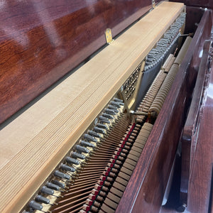 Charles Walter 1520  (44")