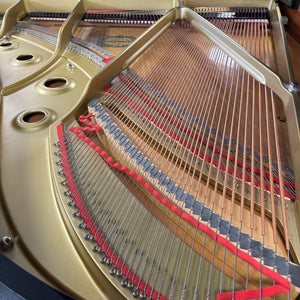 Yamaha G3 (6')