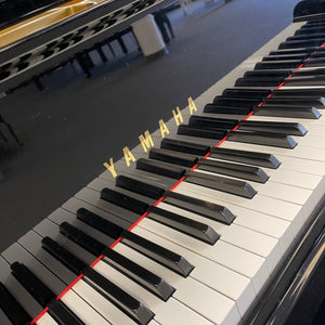 Yamaha G3 (6')