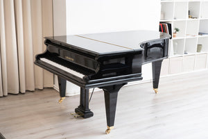 Bechstein B 203 (6'6") - 1908 ONLINE INVENTORY Call for Availability