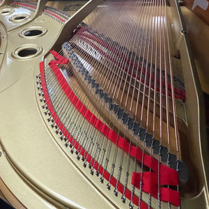 Yamaha G5 (6'5")