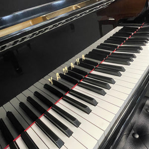 Yamaha G5 (6'5")
