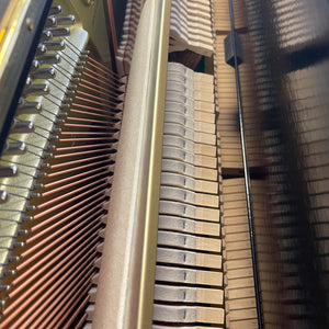 Yamaha U1 (48'')