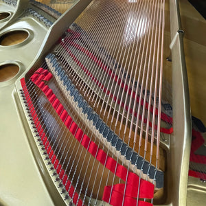 Yamaha G3 (6')