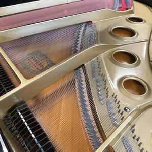 Yamaha G3 (6')