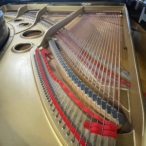 Yamaha G5 (6'5")
