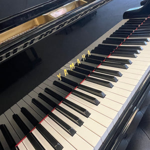Yamaha G3 (6')