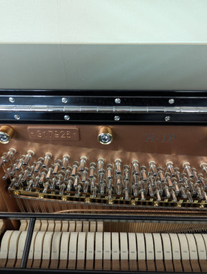 Hailun H1-P (48") w/ Small Keys (NEW PIANO!!)
