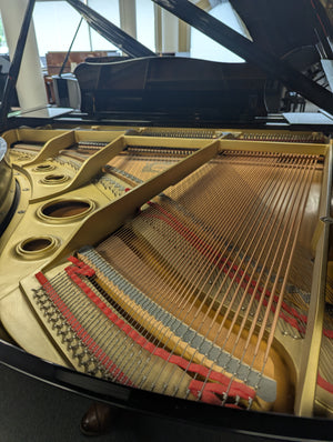 Yamaha G2 (5'8'')