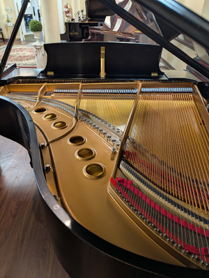 Steinway & Sons Model M (5'7")