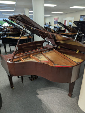 Cristofori CRG53L (5'3")