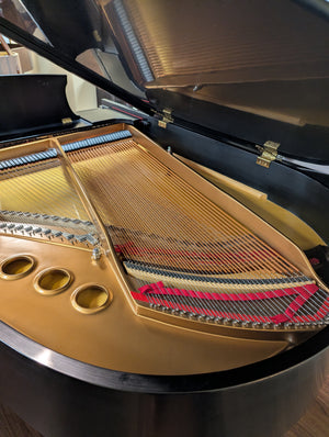 Steinway & Sons Model M (5'7")