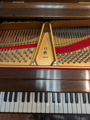 Steinway Model O Restored and Refinished (5'10.5")