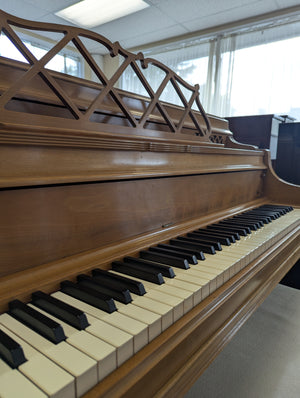 Steinway & Sons Model 100 (41")