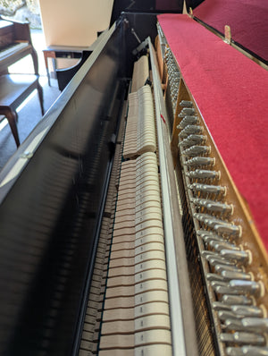 Samick JS112 (43")