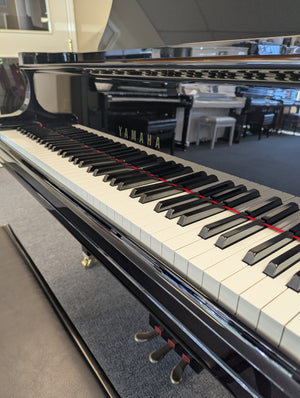 Yamaha GC-1 (5'3")