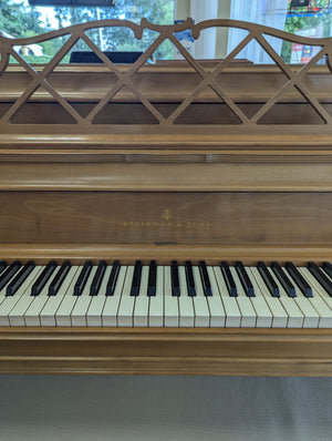 Steinway & Sons Model 100 (41")