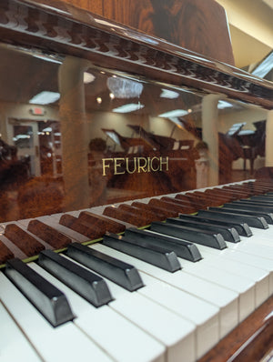 Feurich 6'4" Grand Piano in Pyramid Mahogany Finish