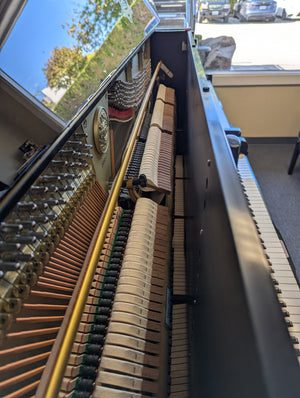 Kawai K-6 (52'')