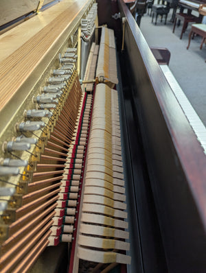 Charles Walter Professional Upright