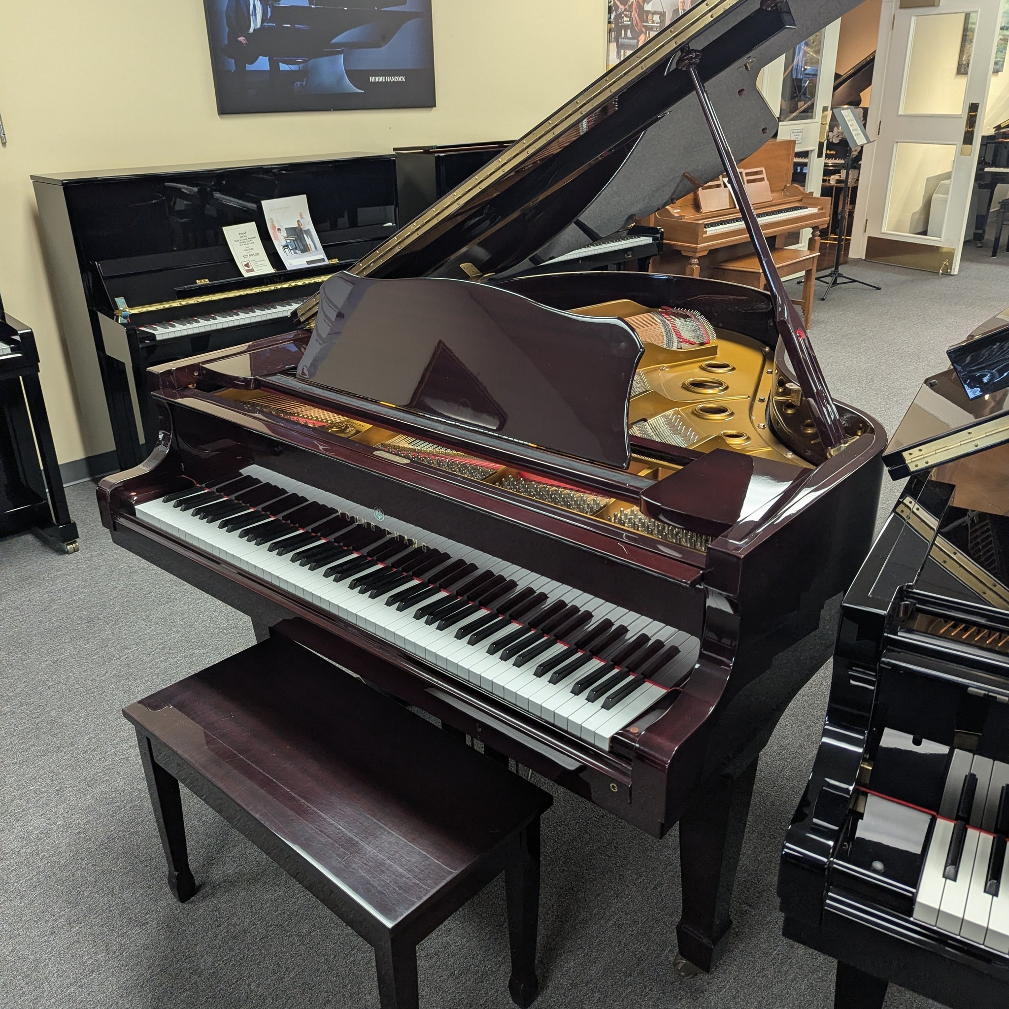 Young Chang G-175 (5'9")