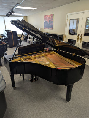 Yamaha G2 (5'8'')