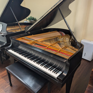 Steinway & Sons Model M Restored and Refinished (5'7")