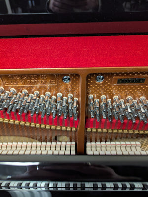 Petrof P121 Discovery (47") (NEW PIANO!!)