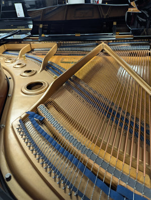 Kawai KG-3C (6')