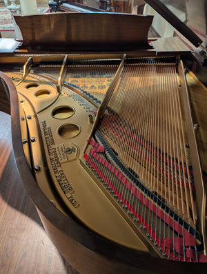 Steinway Model O Restored and Refinished (5'10.5")