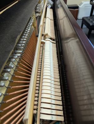 Yamaha T116 (45")