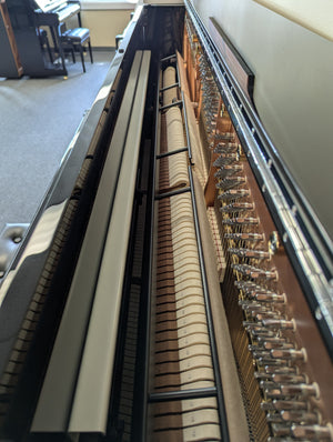Hailun H1-P (48") w/ Small Keys (NEW PIANO!!)