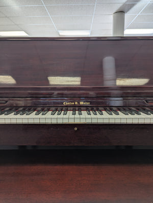 Charles Walter Professional Upright