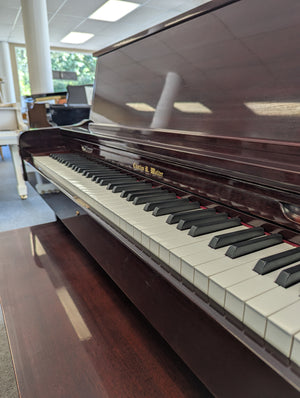Charles Walter Professional Upright