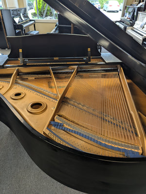Kawai KG-1 (5'1'')