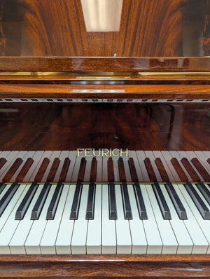 Feurich 6'4" Grand Piano in Pyramid Mahogany Finish