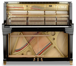 ANT. PETROF 136 (53.5'')