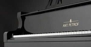ANT. PETROF 225 (7'4'')
