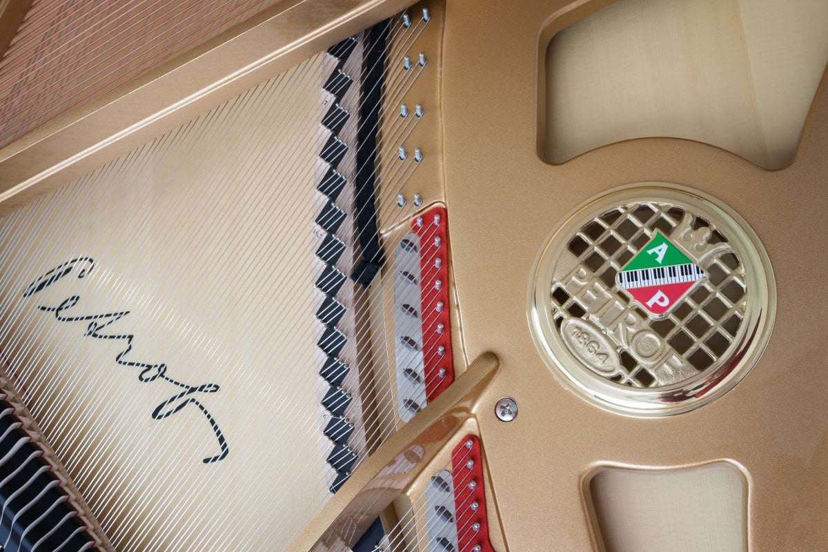 PETROF P173 Breeze (5'8")