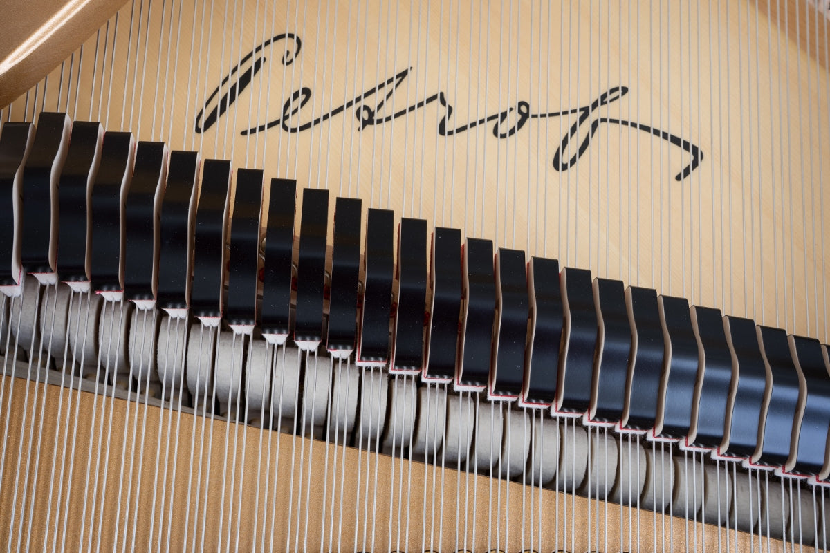 PETROF P173 Breeze (5'8")