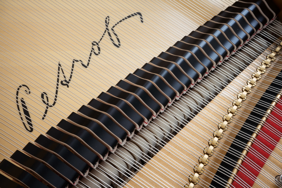 PETROF P173 Breeze Demichippendale (5'8")