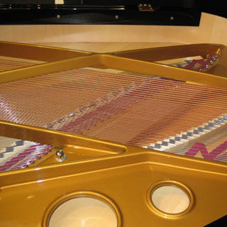 Sauter Piano Northwest Pianos.