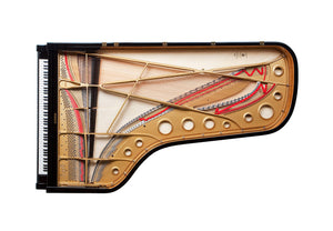 FAZIOLI F278 (9'2")