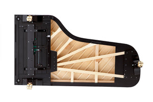 FAZIOLI F278 (9'2")