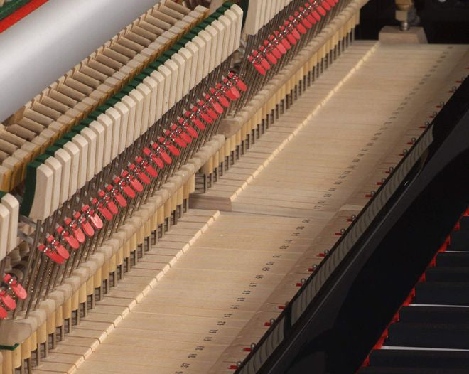 Hailun Upright Piano Northwest Pianos.